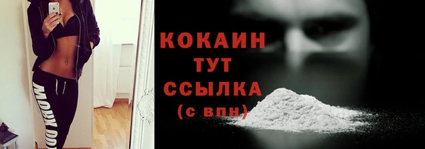 ECSTASY Алзамай