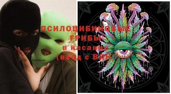 ECSTASY Алзамай