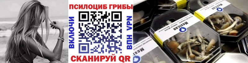 Галлюциногенные грибы Psilocybine cubensis  Геленджик 